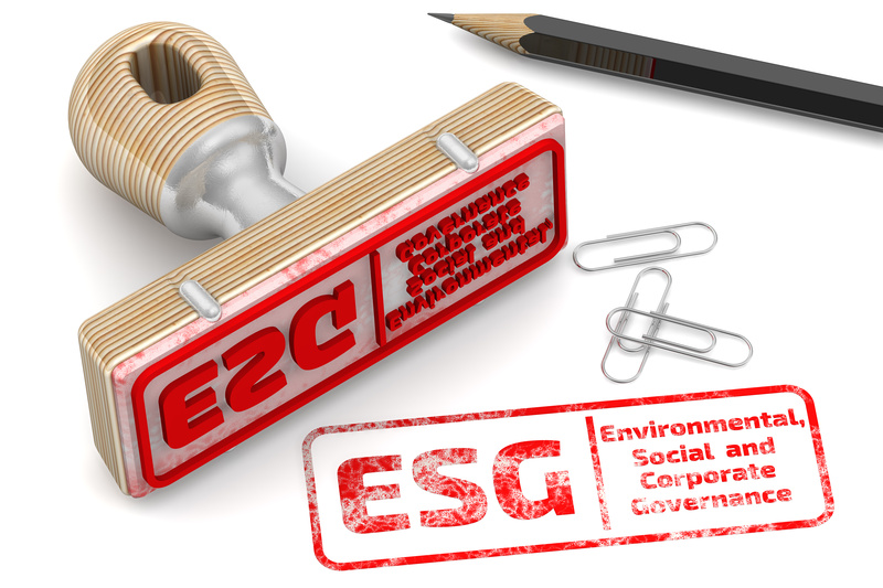 Selo ESG: entenda o conceito e a importância das práticas sustentáveis nas empresas
